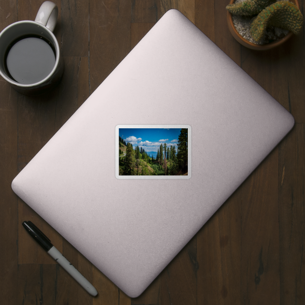 Vista in Lassen Volcanic National Park by Ckauzmann